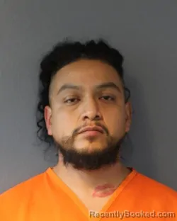 Mugshot of LUIS FERNANDO MARTINEZ