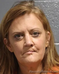 Mugshot of LAURIE BETH PAINE