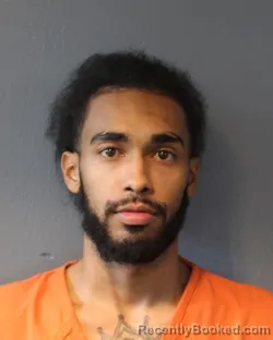 Mugshot of MANUEL ROBINSON