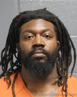 Mugshot of NICHOLAS D RICHARDSON