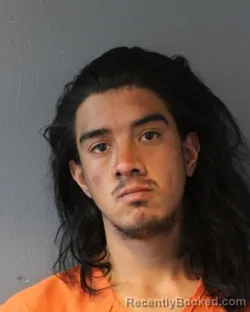 Mugshot of RYAN FELICIANO CANALES