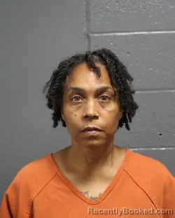 Mugshot of Rochelle Lashawn Hopkins Clark booked in Oklahoma County, Oklahoma on August 28, 2026