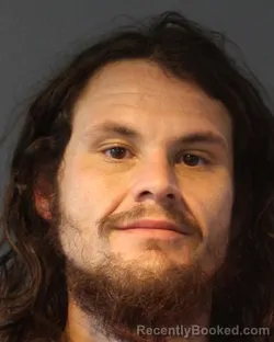 Mugshot of RICHARD JAME DALTON