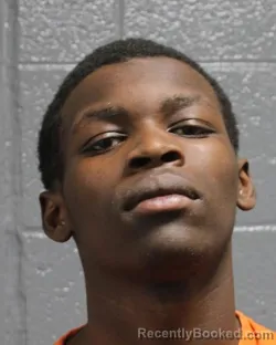 Mugshot of SHANNON TYLER BARNES