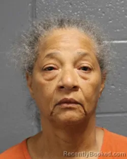 Mugshot of SHELIA MARIE HEIM booked in Oklahoma County, Oklahoma on March 28, 2026