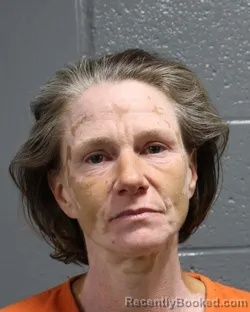 Mugshot of SONYA RENEE JACKSON booked in Oklahoma County, Oklahoma on June 4, 2026