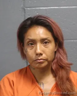 Mugshot of Sylvia Ortiz booked in Oklahoma County, Oklahoma on September 13, 2026