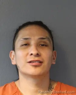 Mugshot of SONNY DARNELL PHILLIPS