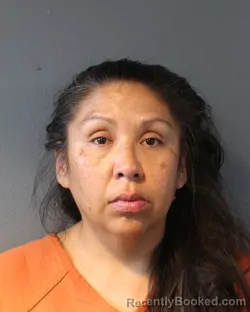 Mugshot of TONI CASTLEBERRY booked in Oklahoma County, Oklahoma on March 28, 2026