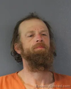 Mugshot of TERRY HOLMAN