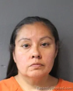 Mugshot of Toni Lynn Kaulaity