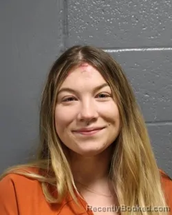 Mugshot of TAYLOR RENAE MEEKS booked in Oklahoma County, Oklahoma on June 8, 2026