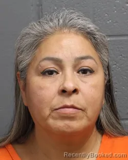 Mugshot of VERONICA GUZMAN MAGUIRE