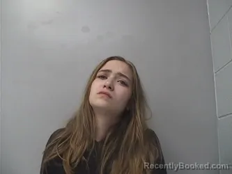 Mugshot of Lily Jo Brinkley