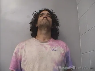 Mugshot of DALLAS BLAIR WALLACE