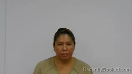 Mugshot of CHERYL ANNE GOULD booked in Osage County, Oklahoma on July 14, 2026