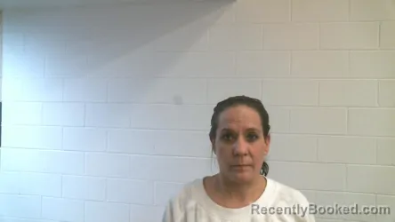 Mugshot of ERIN BROWN