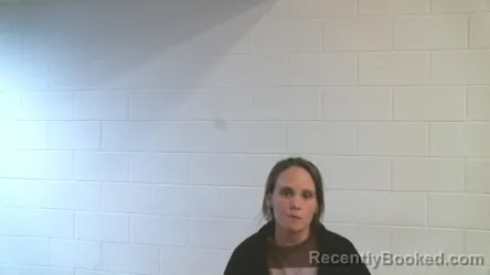 Mugshot of JESSICA ANNALYNN MCDANIEL