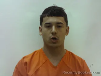 Mugshot of BLAKE RYAN WILLIAMSON