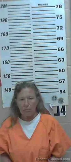 Mugshot of BRANDY TROUILLE BRISTER booked in Colorado County, Texas on April 9, 2026