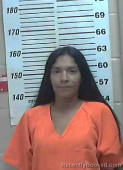Mugshot of DESIREE NICOLE LOPEZ booked in Colorado County, Texas on May 1, 2026