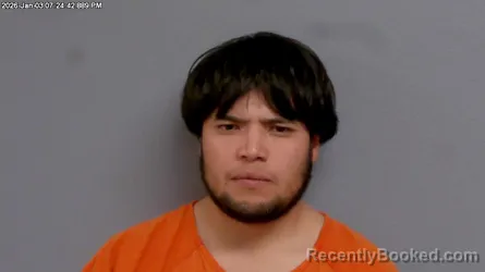 Mugshot of NOE BOCANEGRA