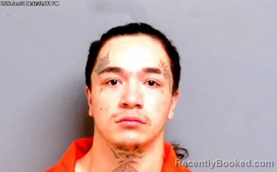 Mugshot of NICHOLAS MICHAEL RUBY