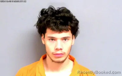 Mugshot of JAVION DESAWN GENTZLER