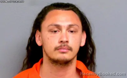 Mugshot of DARRECK STALLONE TREAT