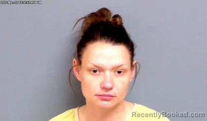 Mugshot of ASHLEY RENEE WOLNIEWICZ