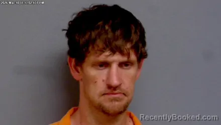 Mugshot of JOSHUA DANIEL WISE