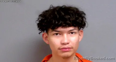 Mugshot of PATRICK LEN LEADING FOX