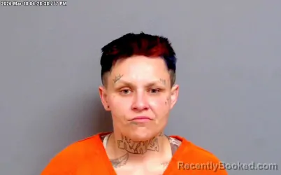 Mugshot of SUMMER BREE MCKINNEY