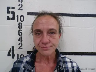 Mugshot of MISTY DAWN CLEMENTS