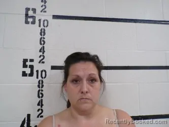 Mugshot of ASHLEY NICOLE ANDERSON