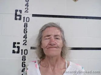 Mugshot of AMY LAUREN KARPEL