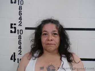 Mugshot of MELISSA ANN BRAVO