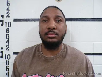 Mugshot of TYRE RESHAWN LANIER