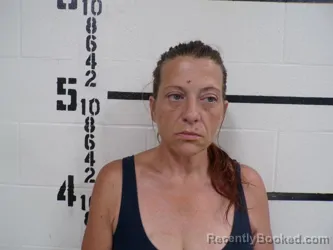 Mugshot of MICHELLE FAYLYN LANE booked in Pittsburg County, Oklahoma on June 6, 2026
