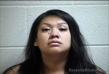 Mugshot of LOURES AMBRIANA ELLISON