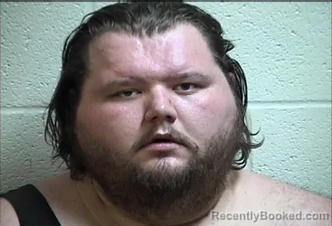 Mugshot of TRENTON SWANSON