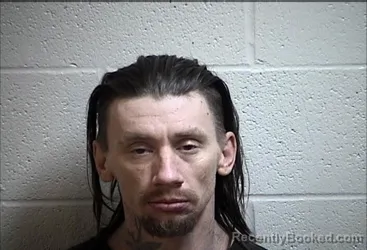 Mugshot of STEVEN RAY LAVER