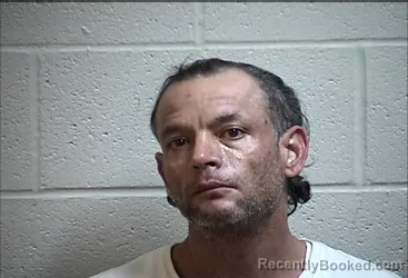 Mugshot of TIMOTHY LEE WALLACE