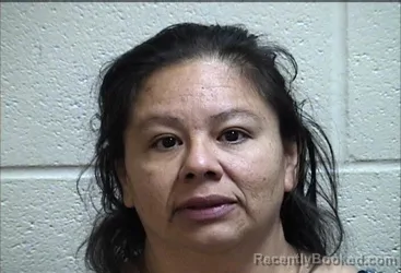 Mugshot of JENNIFER LYNN LONG