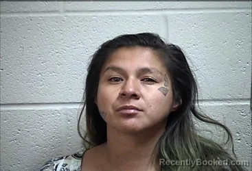 Mugshot of JANNA RAE WAPSKINEH