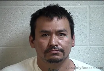 Mugshot of HENRY WETSELLINE