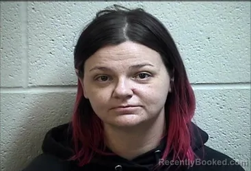 Mugshot of SHAUNNA NICKOLE BELLAMY