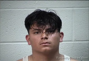 Mugshot of DIDIER ALEXANDER MEJIA-FLORES