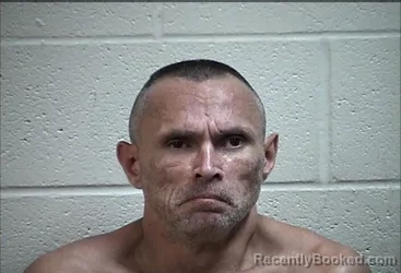 Mugshot of LEE ALLAN GUINN