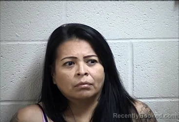 Mugshot of Natalie Jean Hollis booked in Pottawatomie County, Oklahoma on August 29, 2026